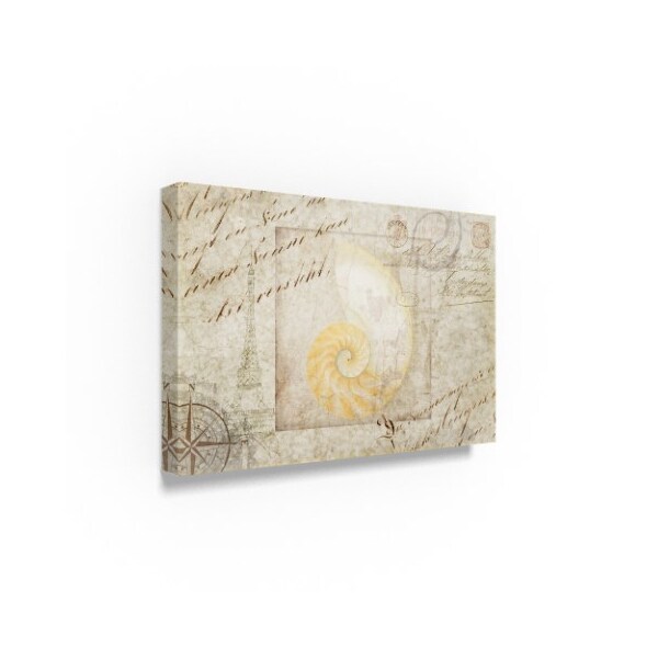 Lightboxjournal 'Gypsy Sea Type Spiral Shell' Canvas Art,30x47